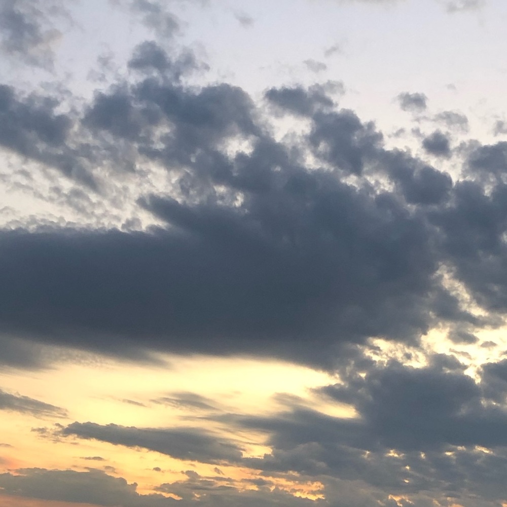 Meet your Posher, Latasha